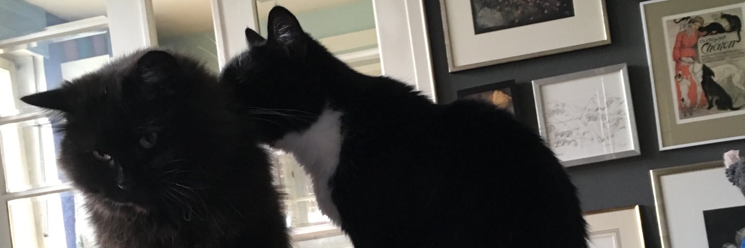 BlaueHimmelsKartoffel banner