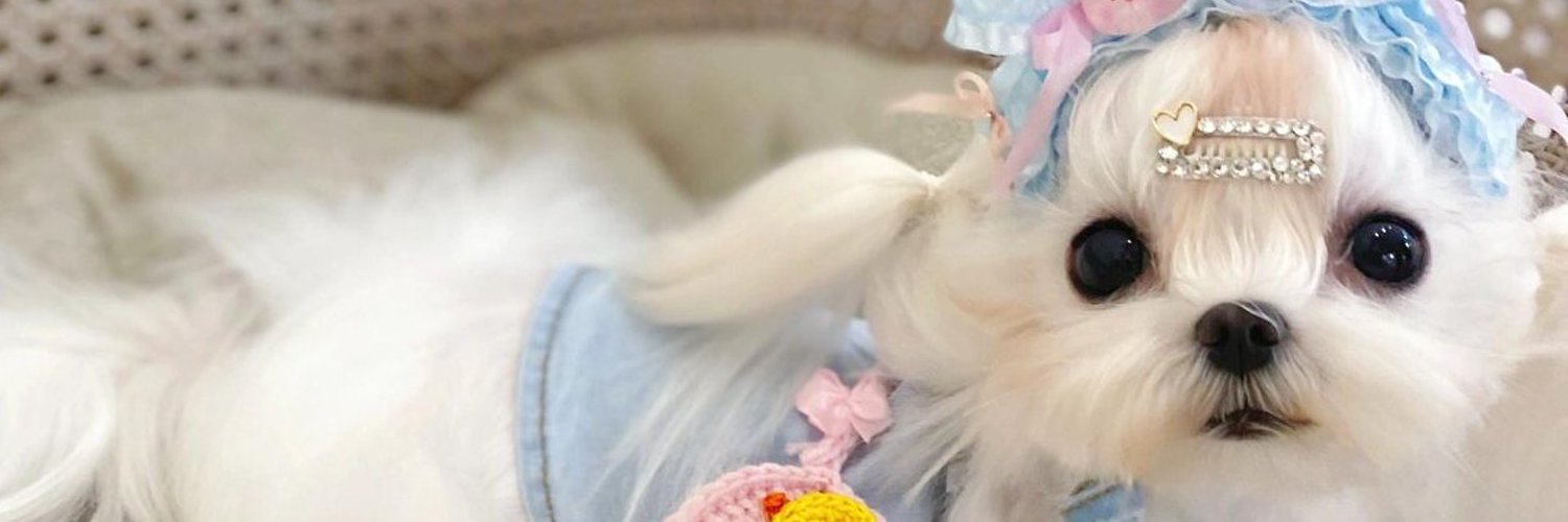 Eleanor_1115's profile banner image