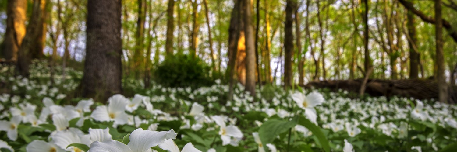 BrightonTwp's profile banner image