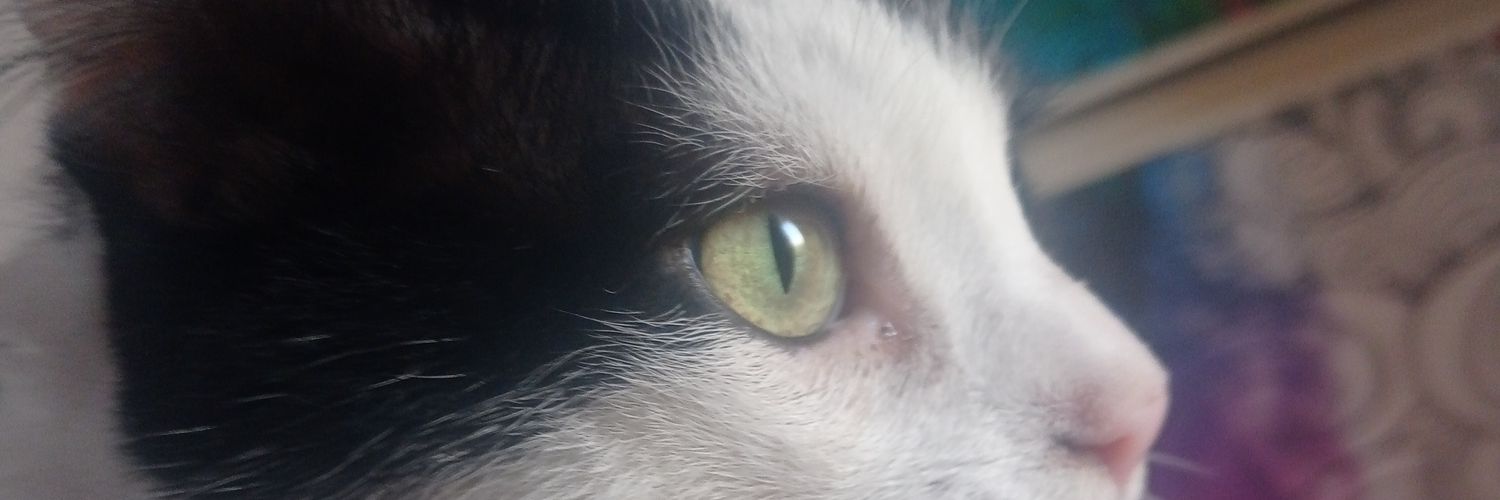 manelo58's profile banner image