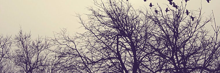 Damyzam96's profile banner image