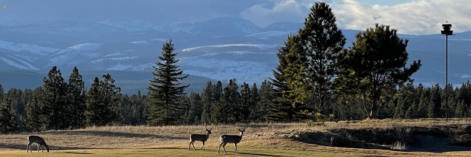 BiltmoreGuy's profile banner image