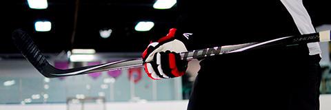 Hockey2Go's profile banner image