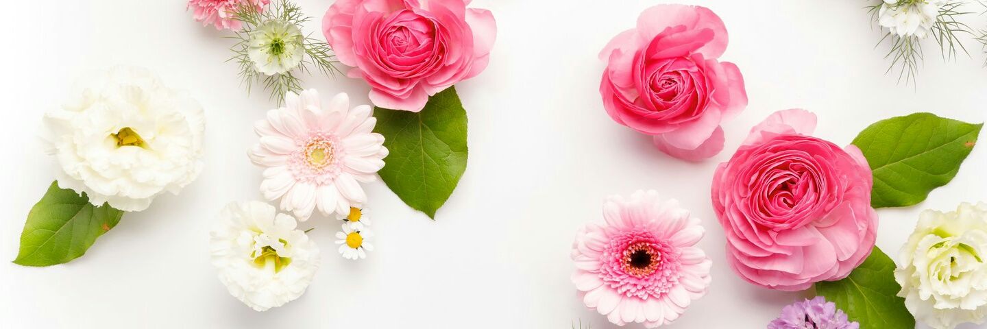omt_112's profile banner image