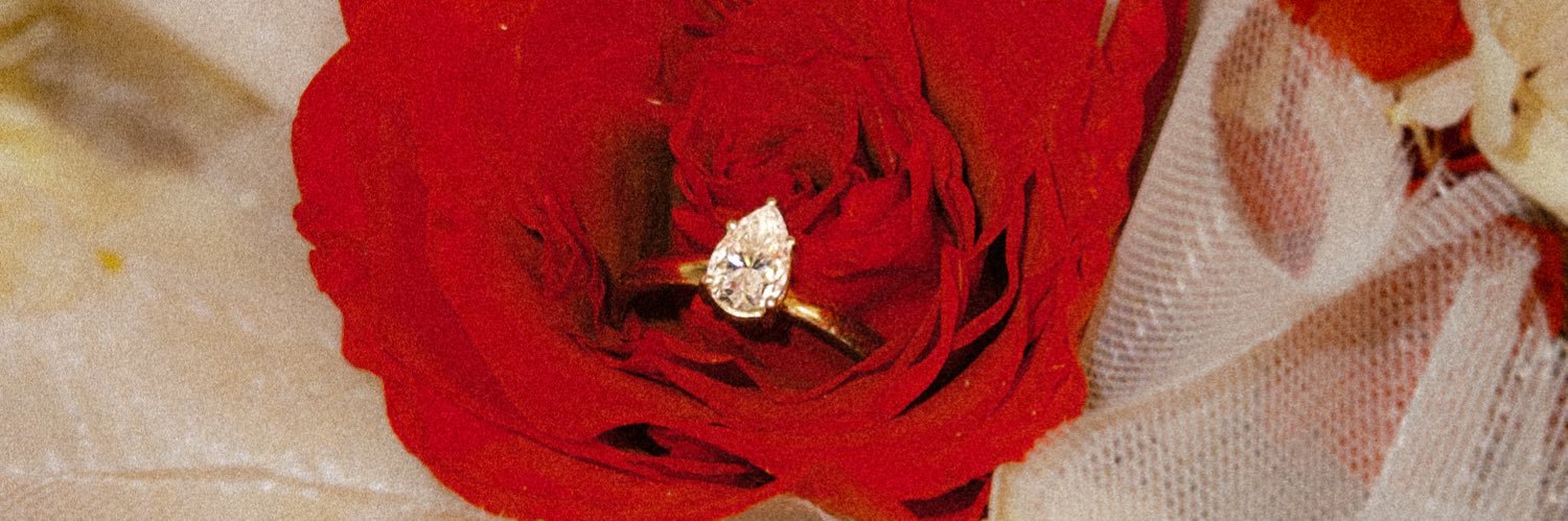 dlpnja's profile banner image