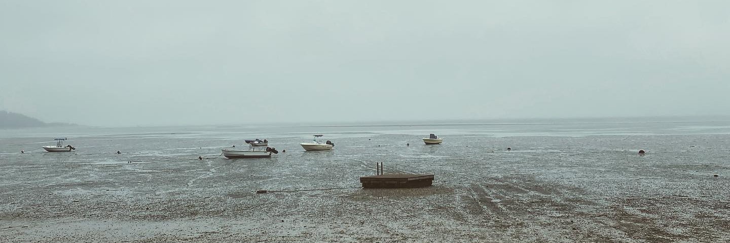 BrendanLilly's profile banner image