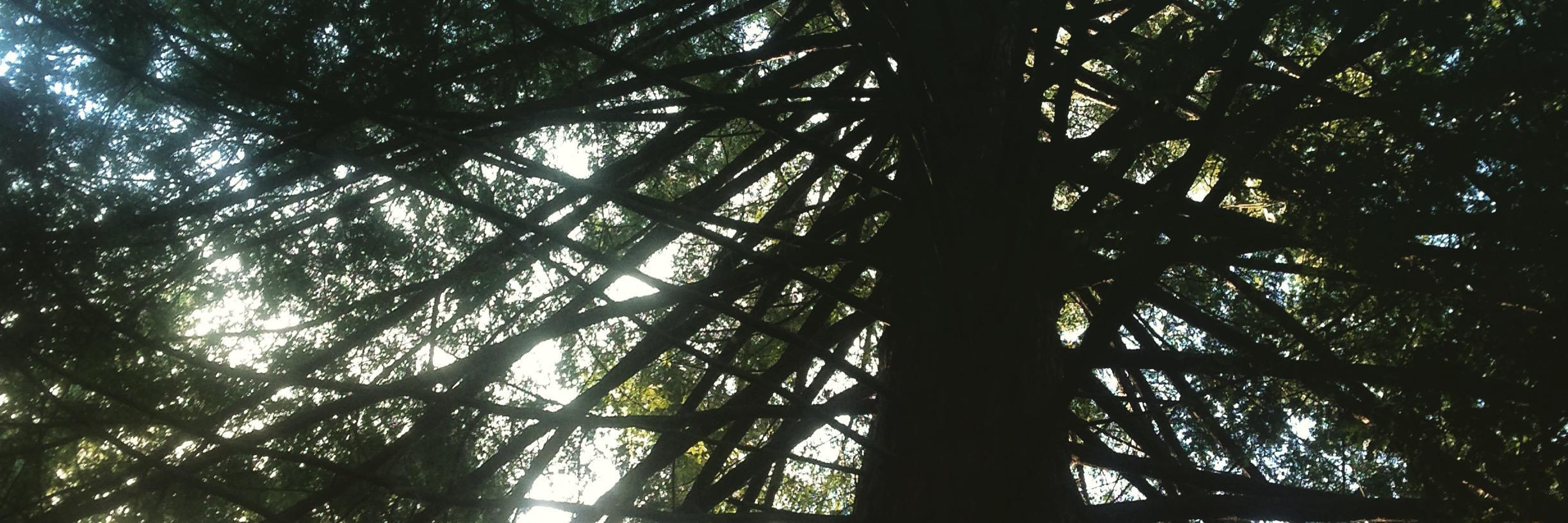 RobinEckstein's profile banner image