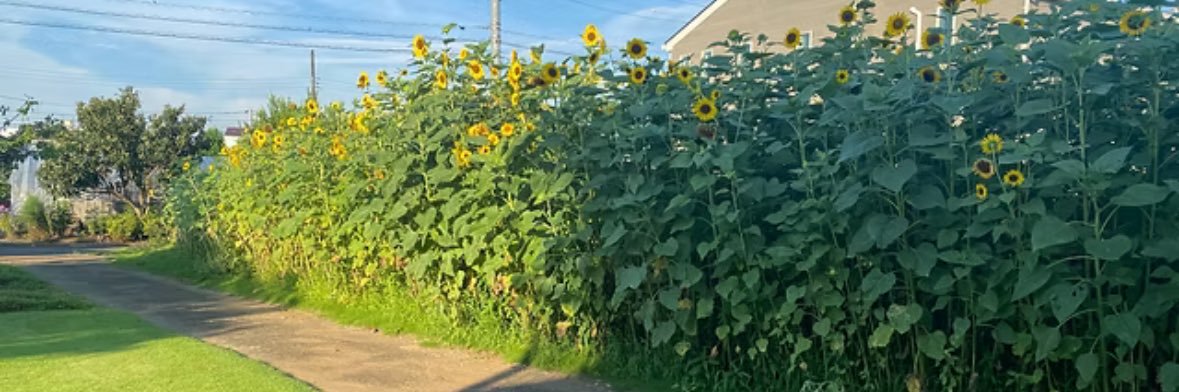 mw842665's profile banner image