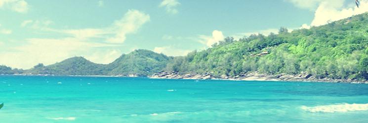 happy_aloha_'s profile banner image