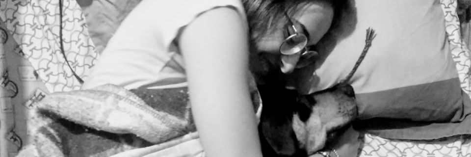 saraduvel's profile banner image