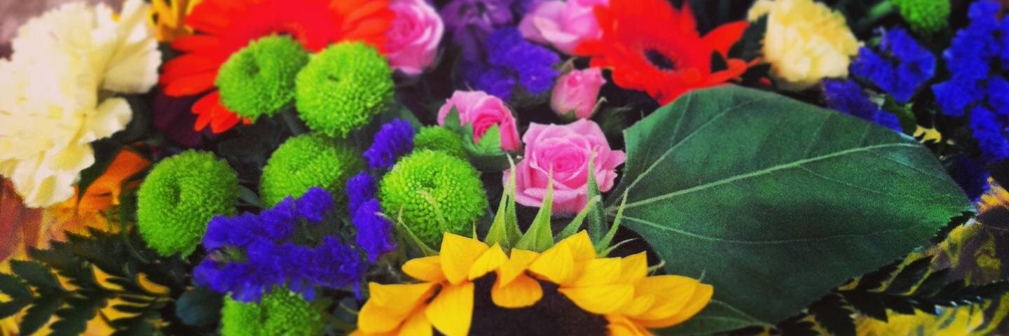 Jenny Williams 🌻 banner