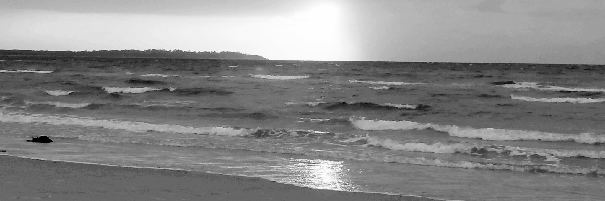MReuter71's profile banner image