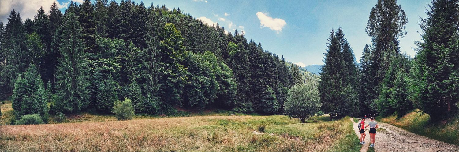 bortunrazvan's profile banner image