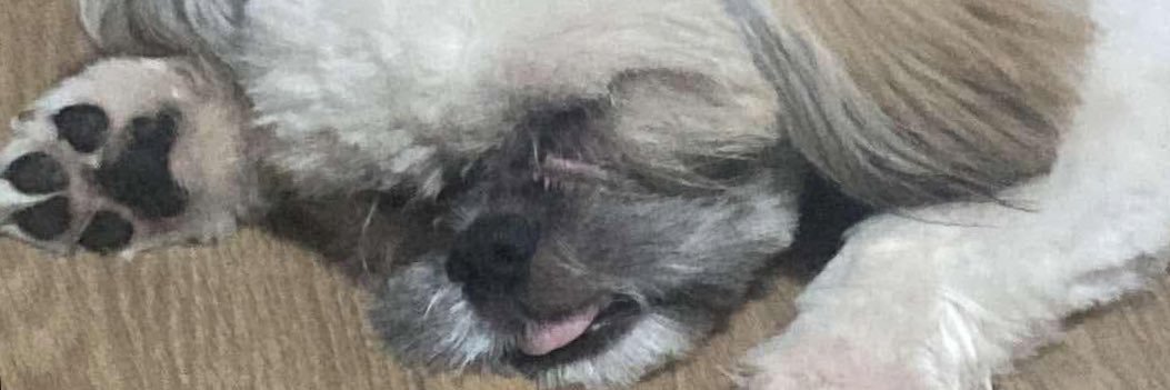 EJokelang's profile banner image