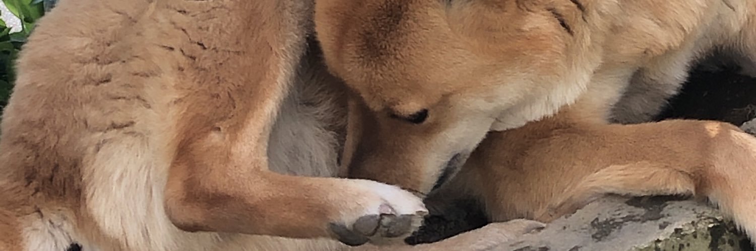 FxxkDdn's profile banner image