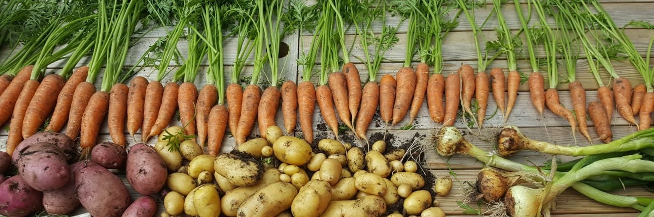 Andrew Dingwall banner