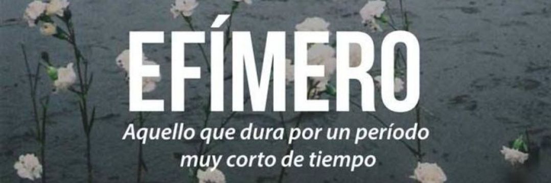 efimeroooo00's profile banner image