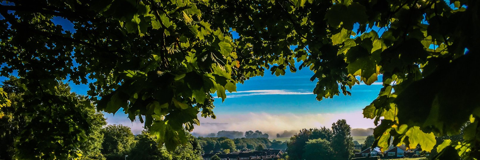sjcook's profile banner image
