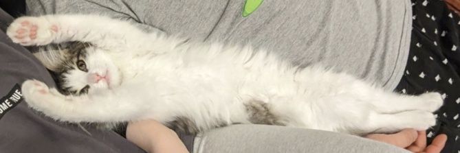 k__yoko_'s profile banner image