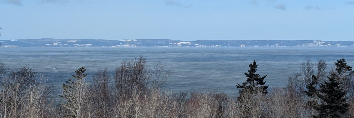 MelanieNicole banner