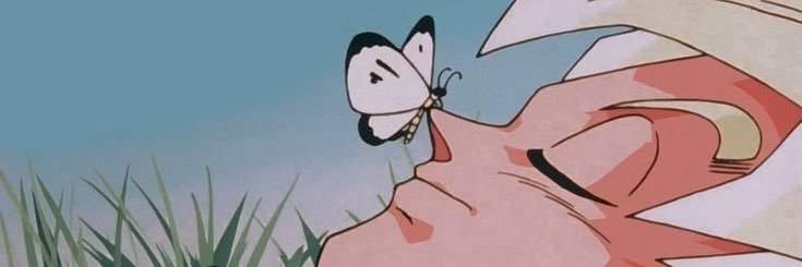 ham_cam14's profile banner image