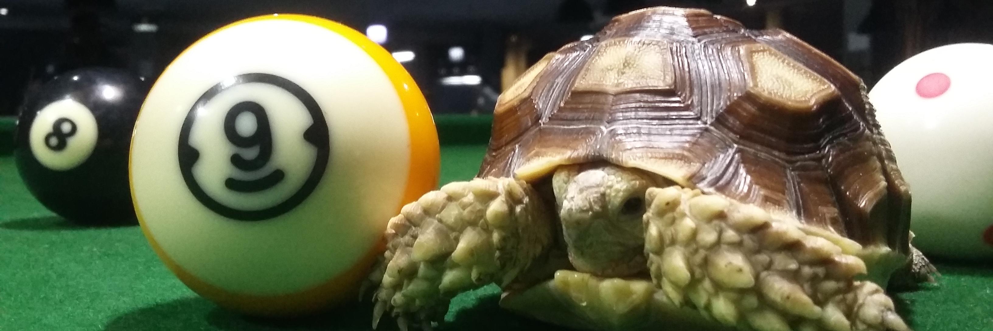 Champ Billiard&Cafe (@champbilliard) / Posts / X