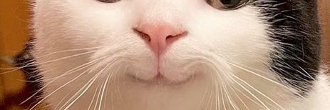 UntouchableXL's profile banner image
