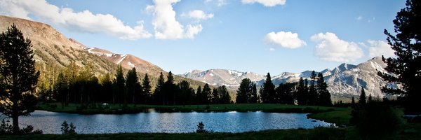 uxdawn Profile Banner