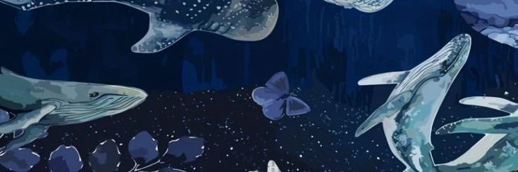 a m a n d a🌒🌘 banner