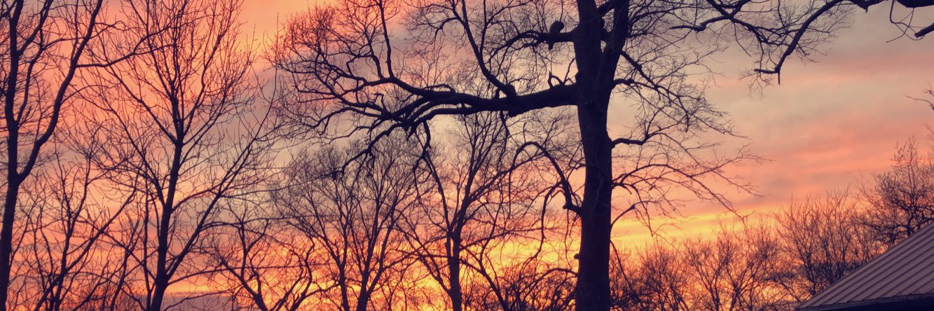 Jessiesmiles14's profile banner image
