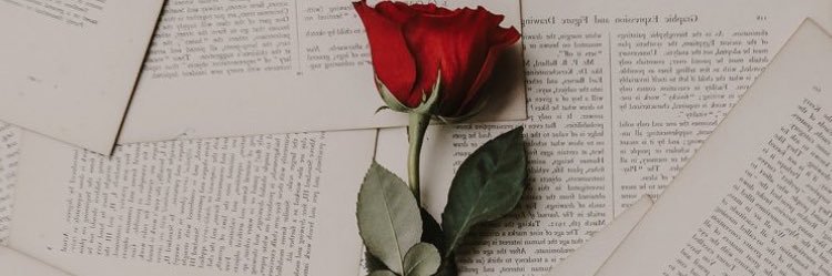 AlmaBellaa's profile banner image