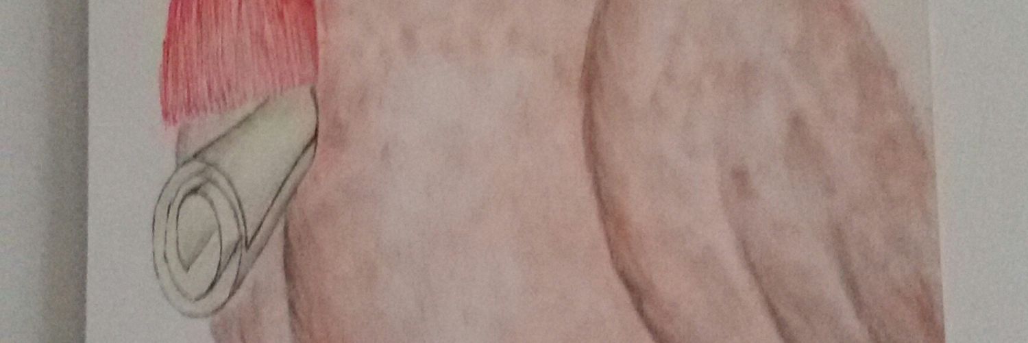 340_746's profile banner image
