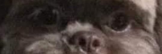 hxxbtw_'s profile banner image