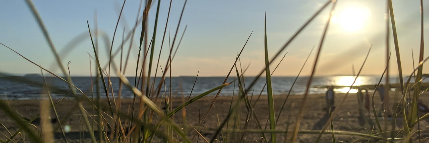 Tim Cooke 🇮🇱 🇬🇧 banner