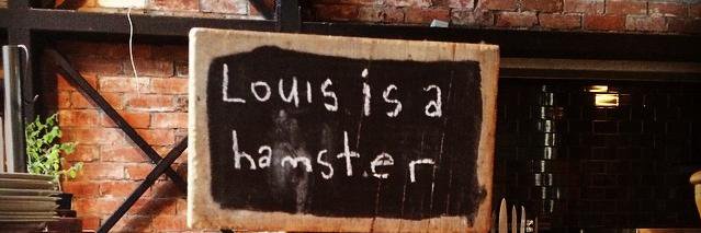 Louis Go banner