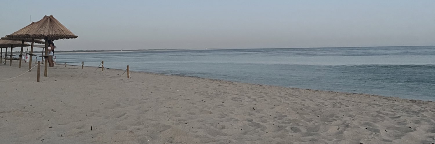 CarlaPortuguesa's profile banner image