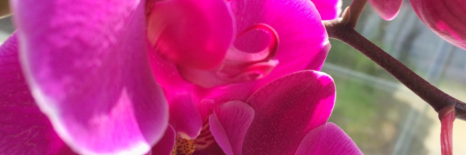 Becky McCloskey banner