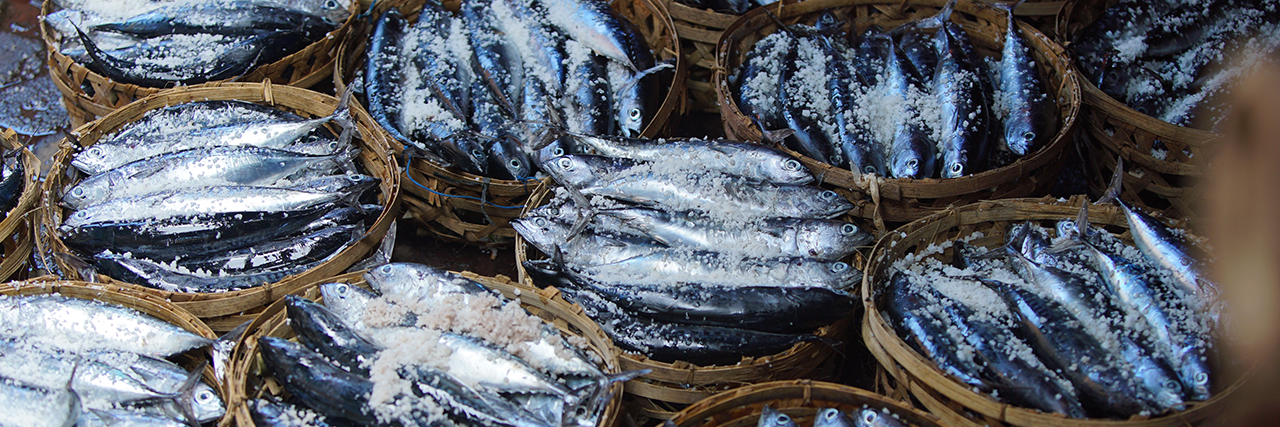 mFish Indonesia banner