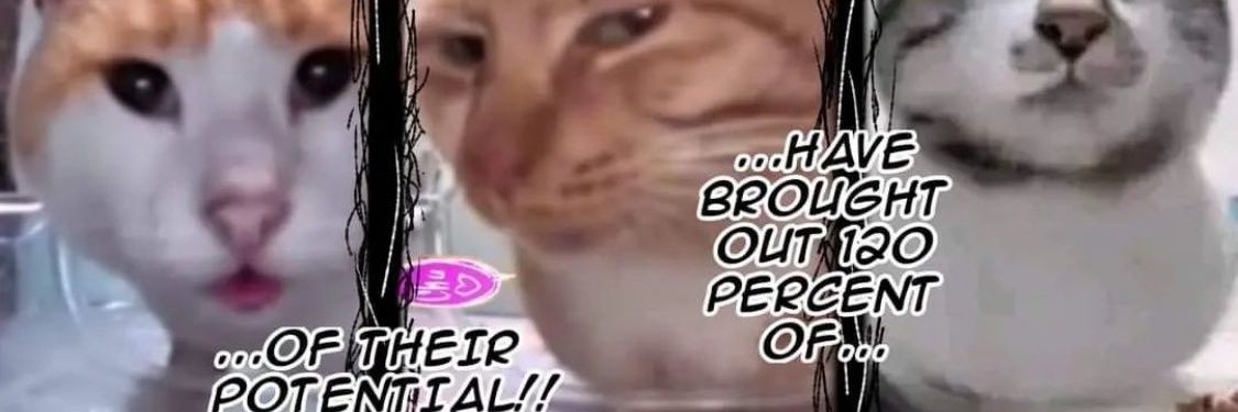 GekoLouis's profile banner image