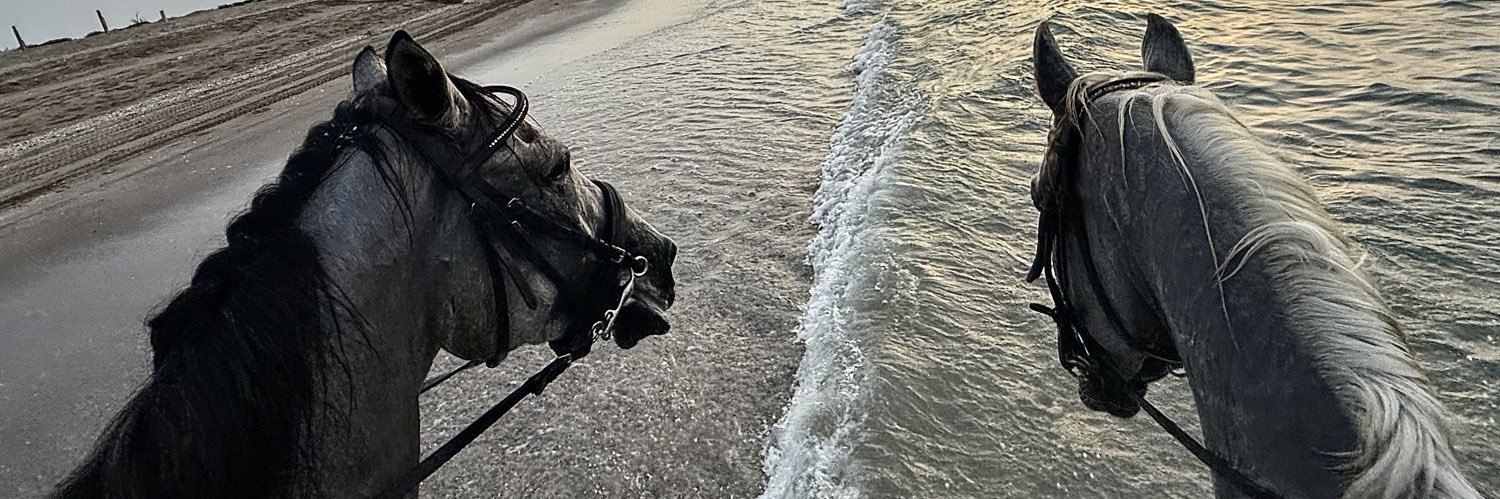 Hmd_kj's profile banner image