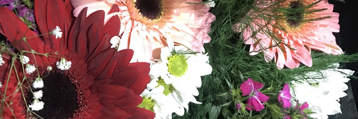 elif__kk's profile banner image