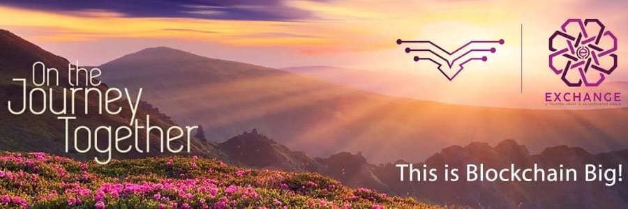 SImona Gabriela banner