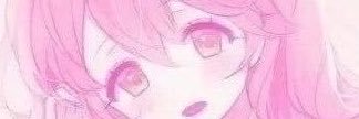 swallowculinary's profile banner image