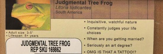 JudgyTreeFrog's profile banner image