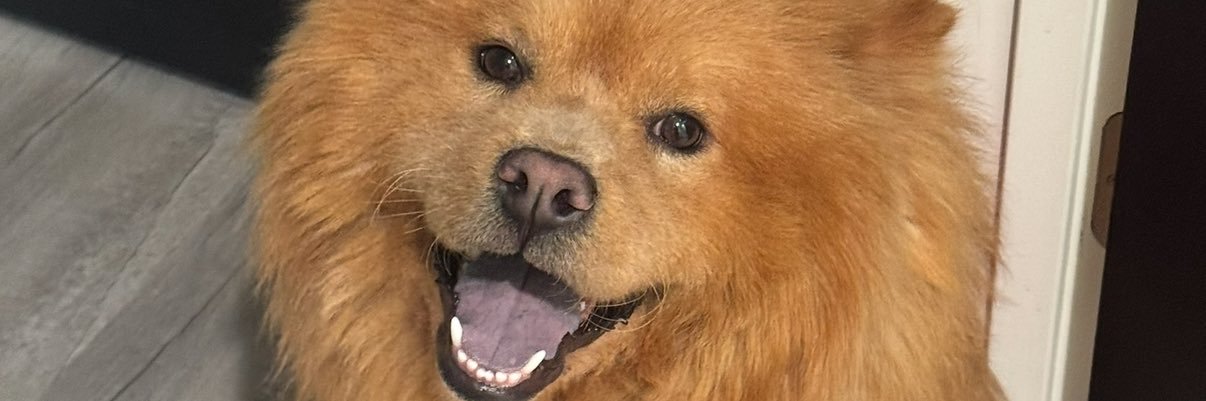 KeelyL3's profile banner image