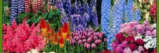 MajGen Panwar B S, AVSM,SM, PhD ( Veteran)🇮🇳 banner