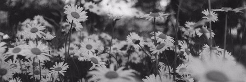 darits_'s profile banner image