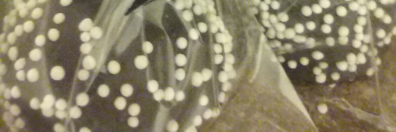 cakewithakick's profile banner image