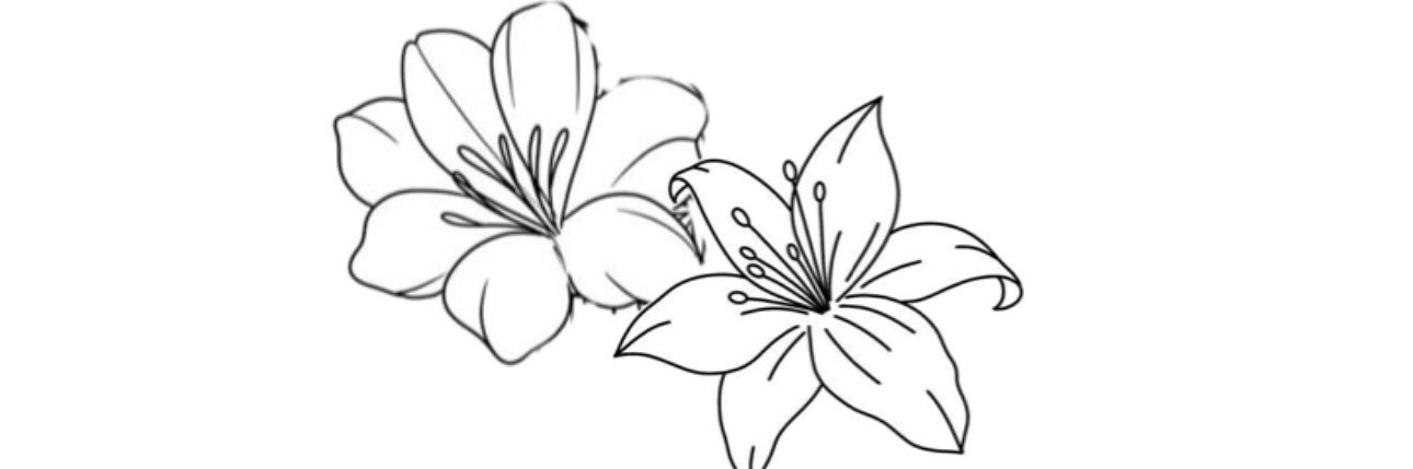 Mon_Alisax3's profile banner image