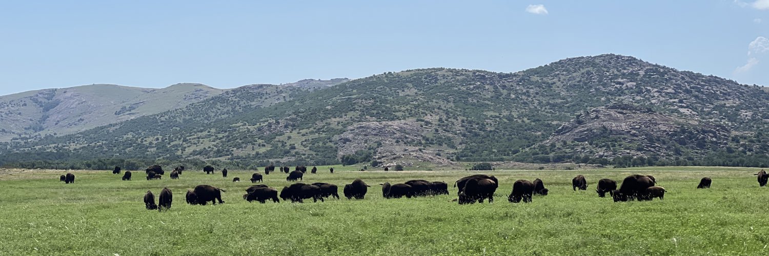 MarkLoSmithS5 banner